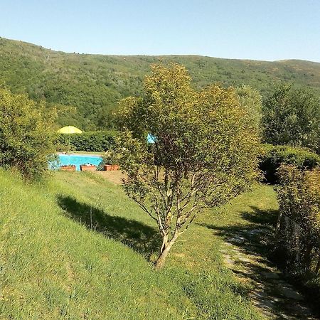 Castelfranco di Sopra Fattoria Il Praticino - Metatoヴィラ エクステリア 写真