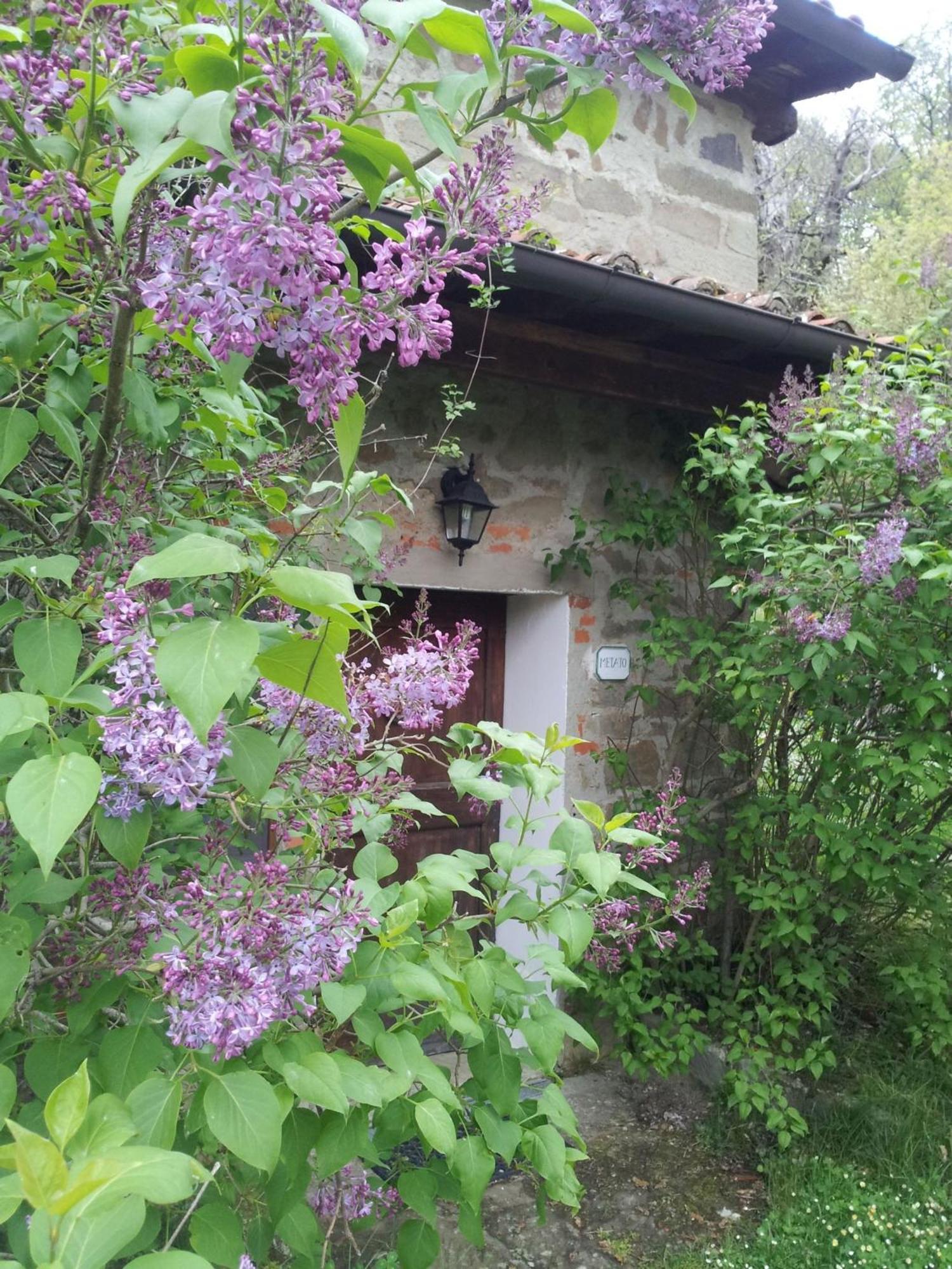 Castelfranco di Sopra Fattoria Il Praticino - Metatoヴィラ エクステリア 写真
