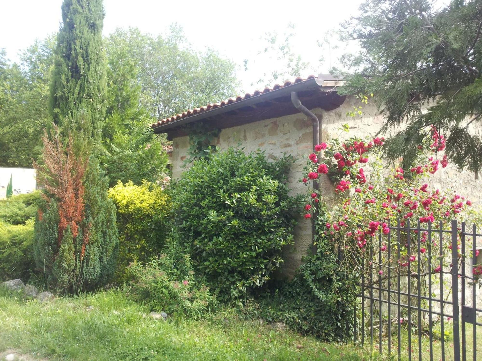 Castelfranco di Sopra Fattoria Il Praticino - Metatoヴィラ エクステリア 写真